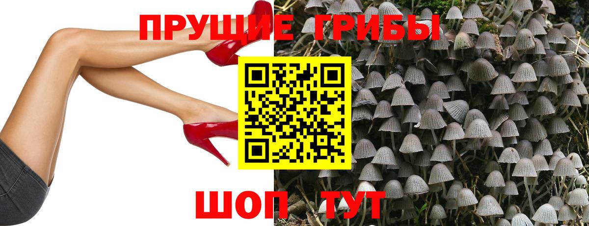 Галлюциногенные грибы Cubensis Котельники